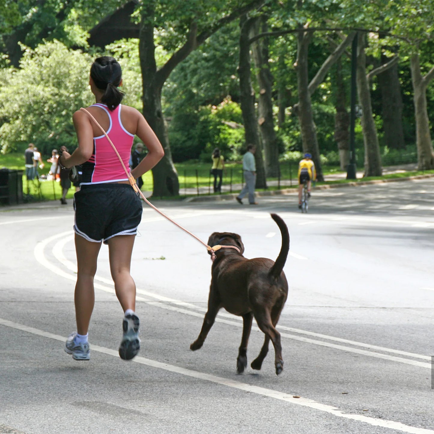 Adjustable Hands-Free Dog Leash