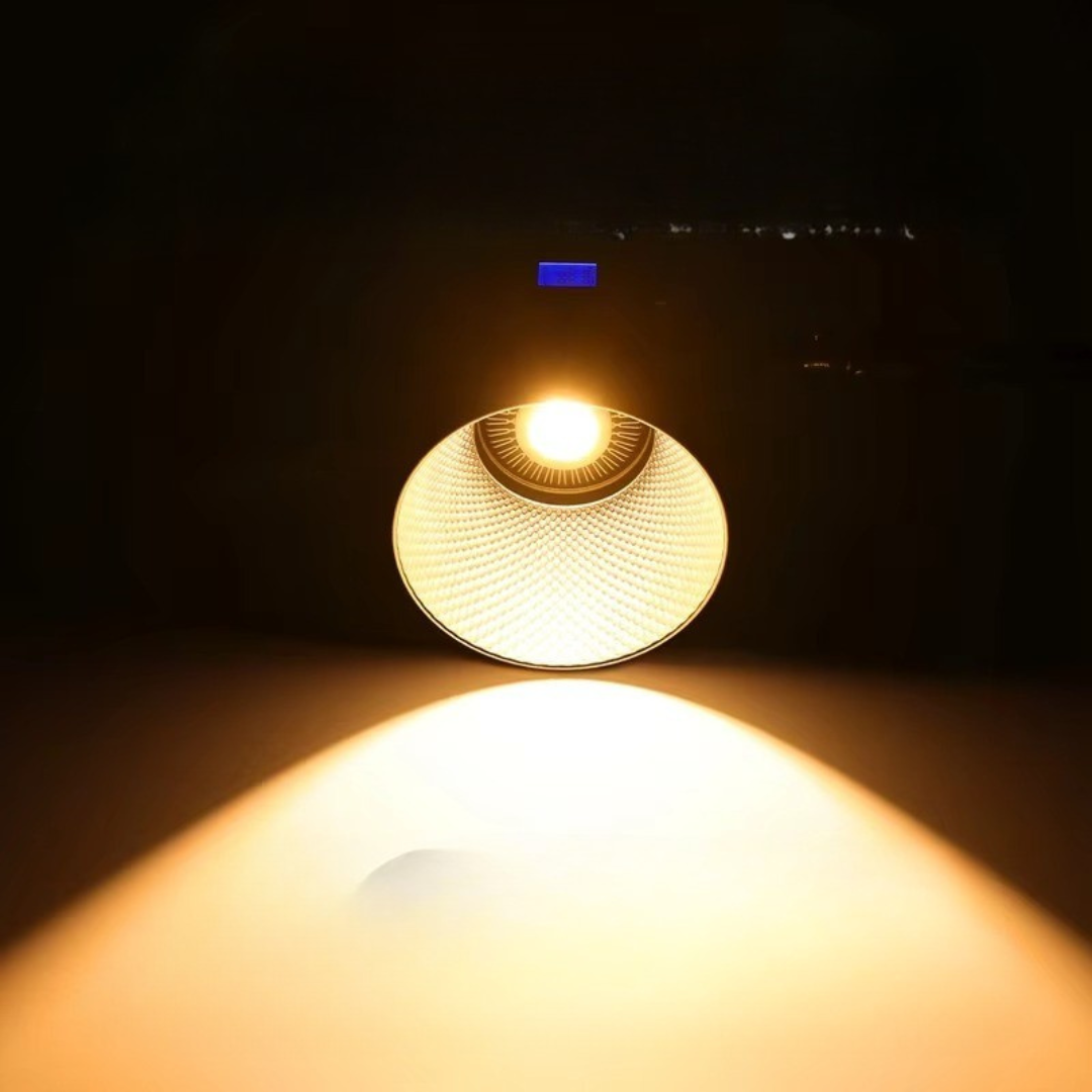 Professional Video Light