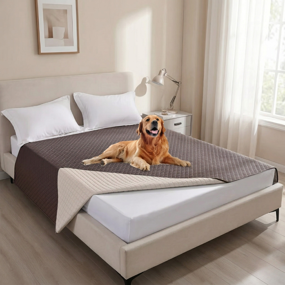 Anti-Leak Dog Seat Cover