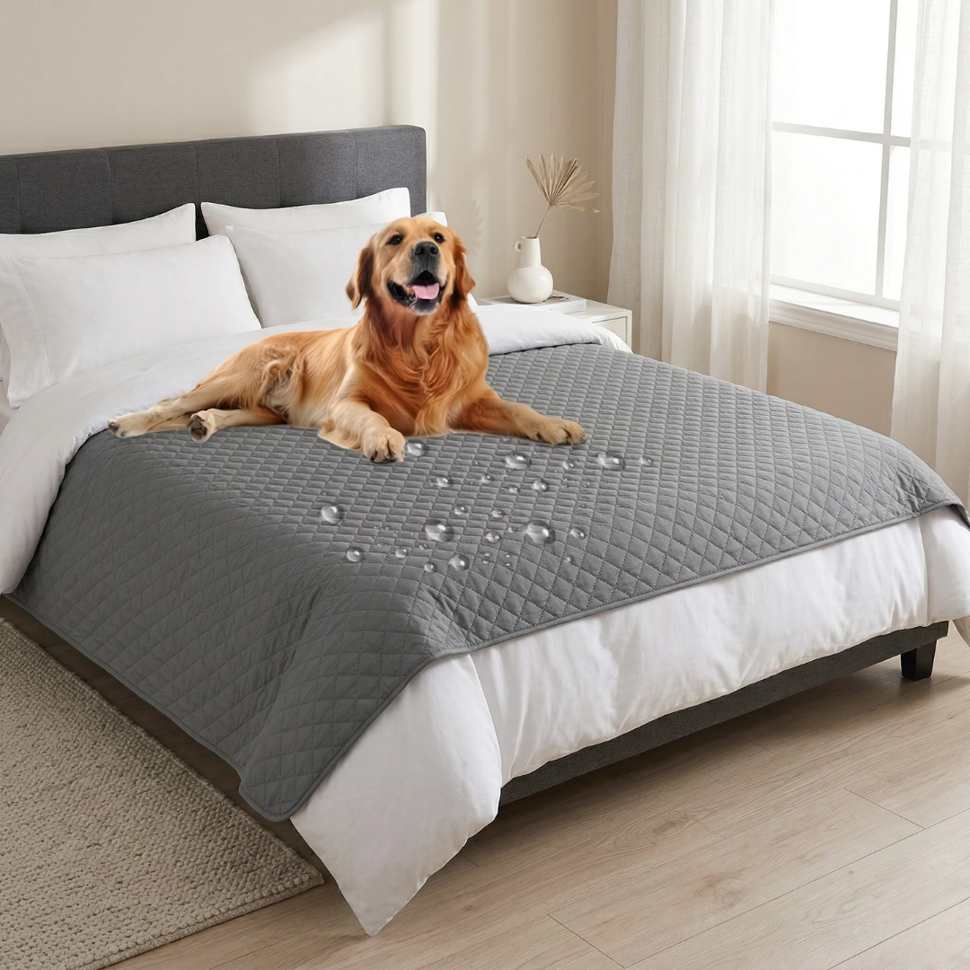 Anti-Leak Dog Seat Cover