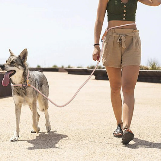 Adjustable Hands-Free Dog Leash