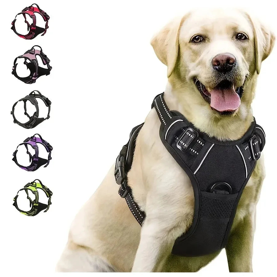 Dog Collar and Harness Set
