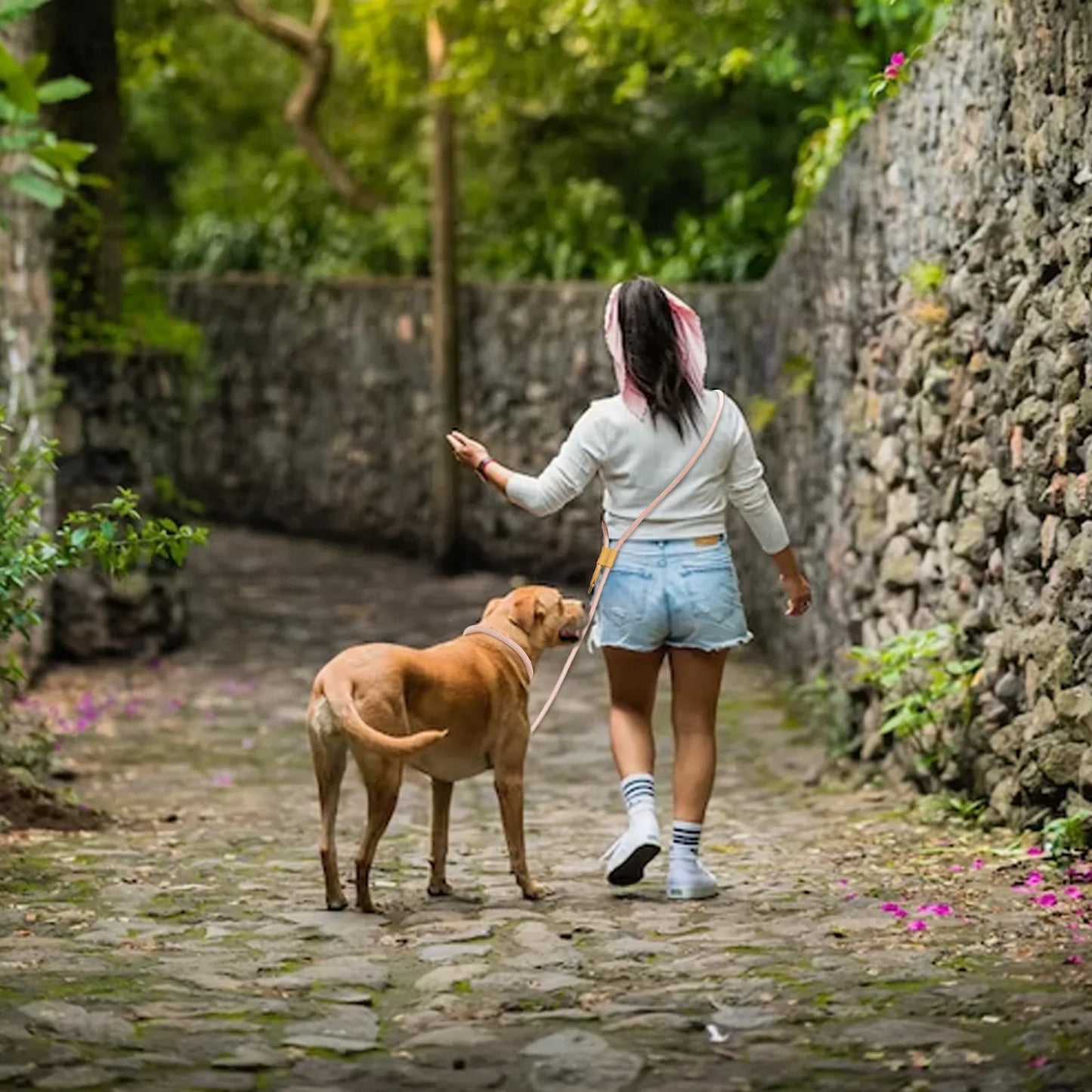 Adjustable Hands-Free Dog Leash