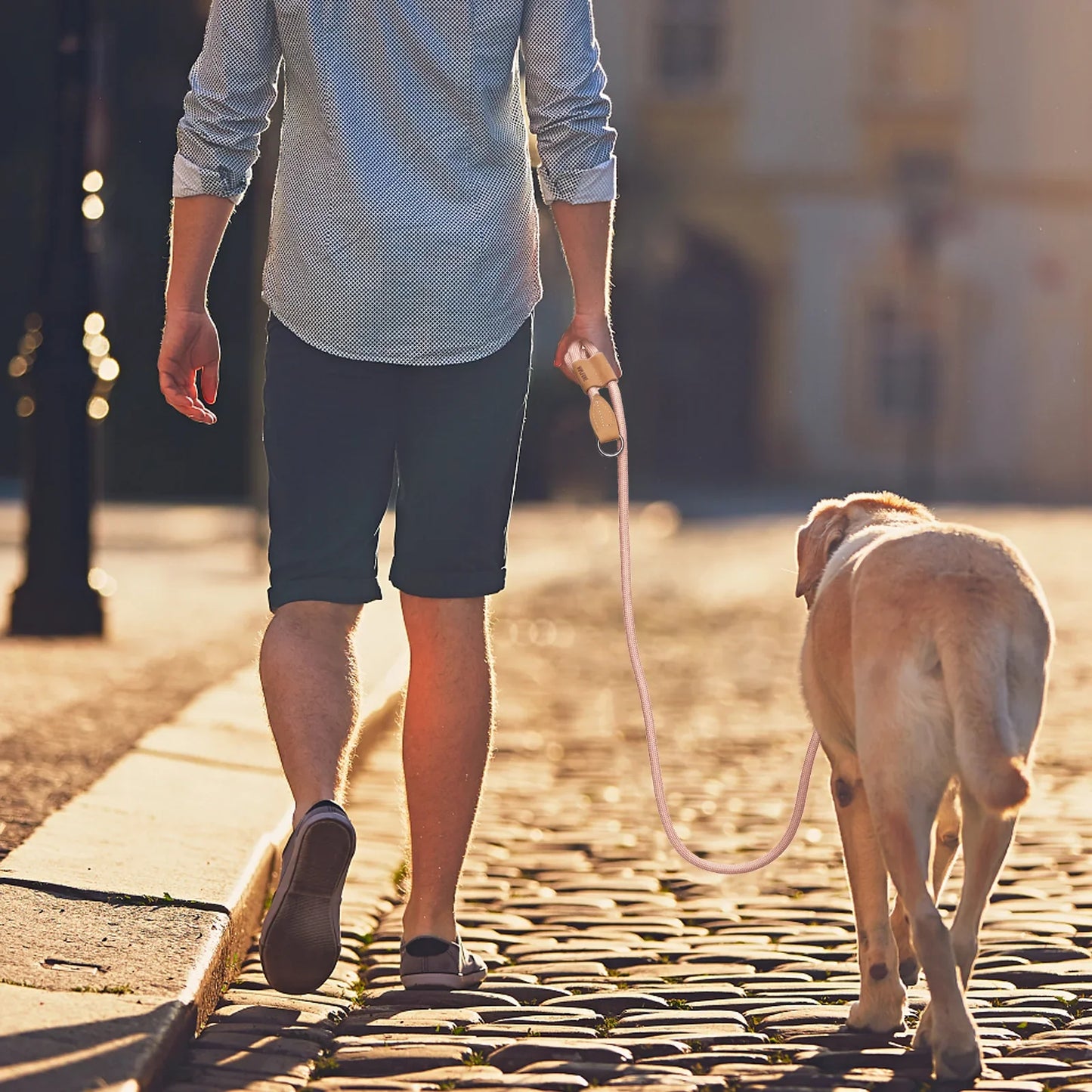 Adjustable Hands-Free Dog Leash